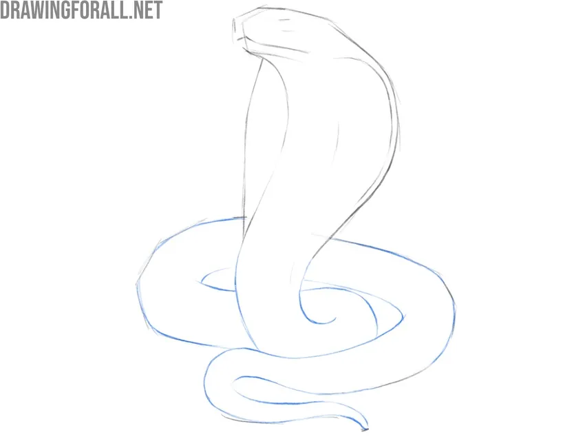 Block in the snake’s coiled body