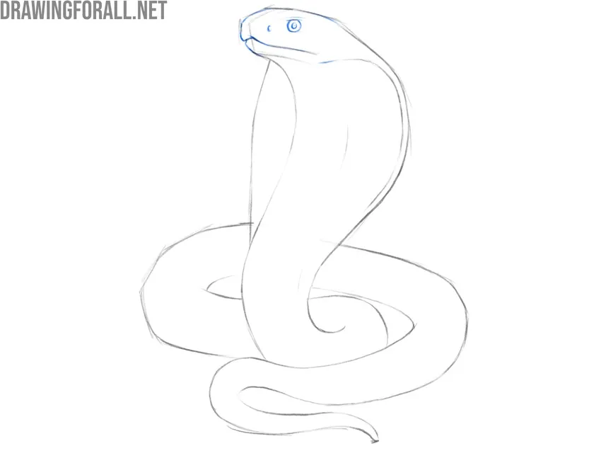 Draw the cobra face in detail