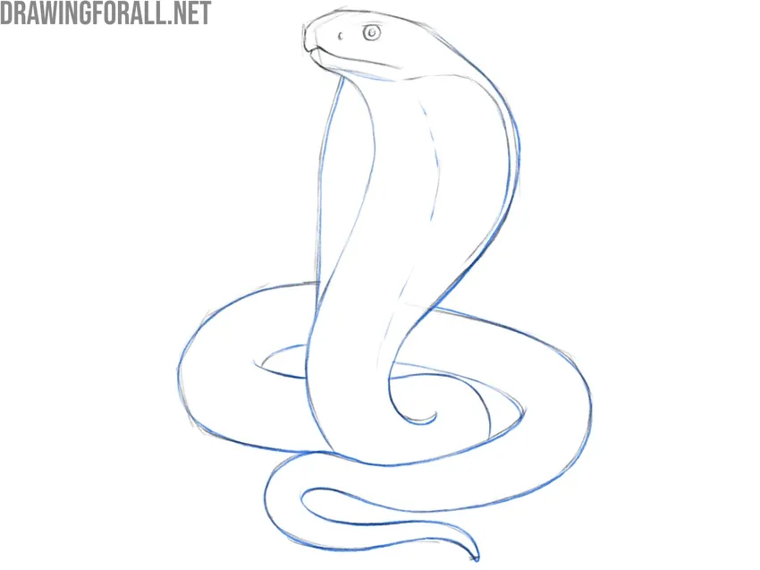 Refine the snake’s body contours