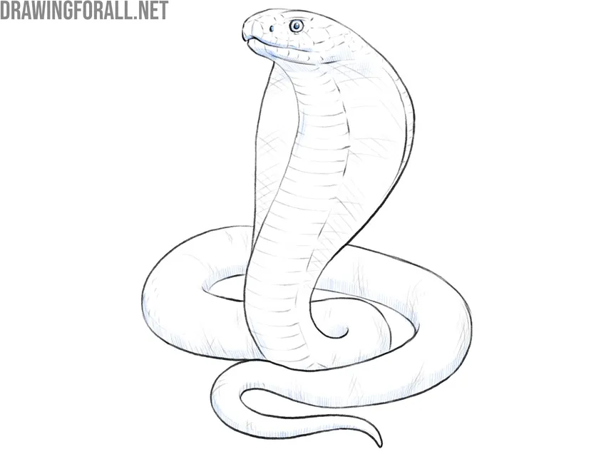 Add shading to the snake
