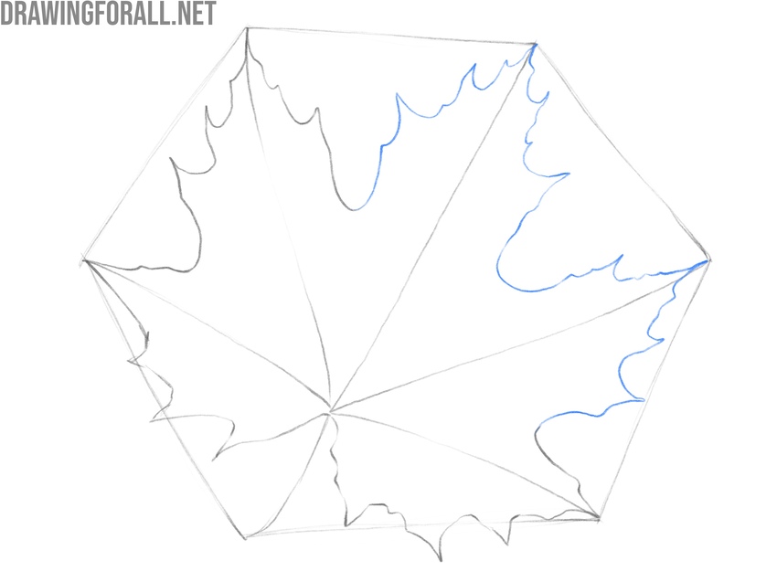 Completing the maple leaf outline with irregular broken contours.