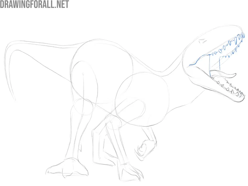 Refine the upper jaw and teeth