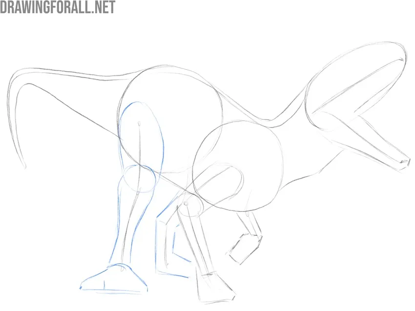 Draw the powerful hind limbs