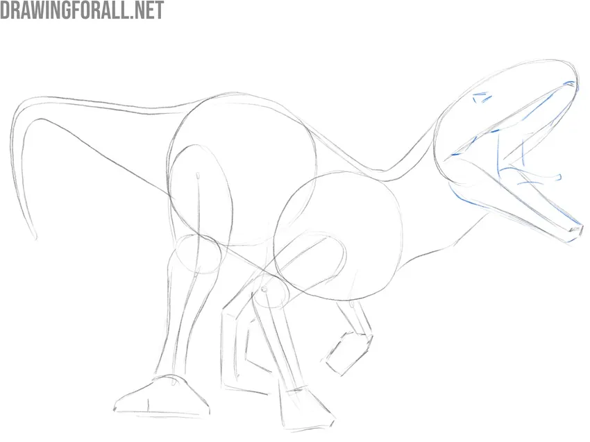 Add basic details to the head
