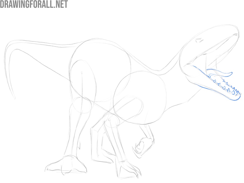Draw the lower jaw of Indominus Rex