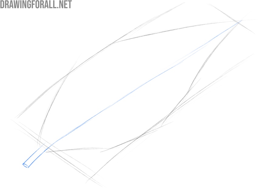 Drawing the cylindrical stem and central vein across the leaf.