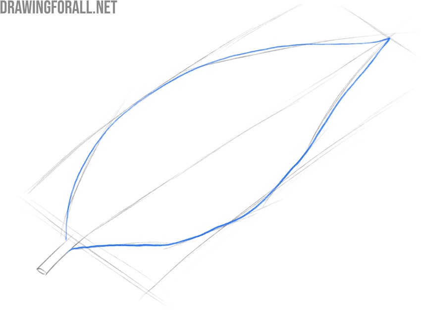 Refining the leaf outline with smooth slightly curved contours.