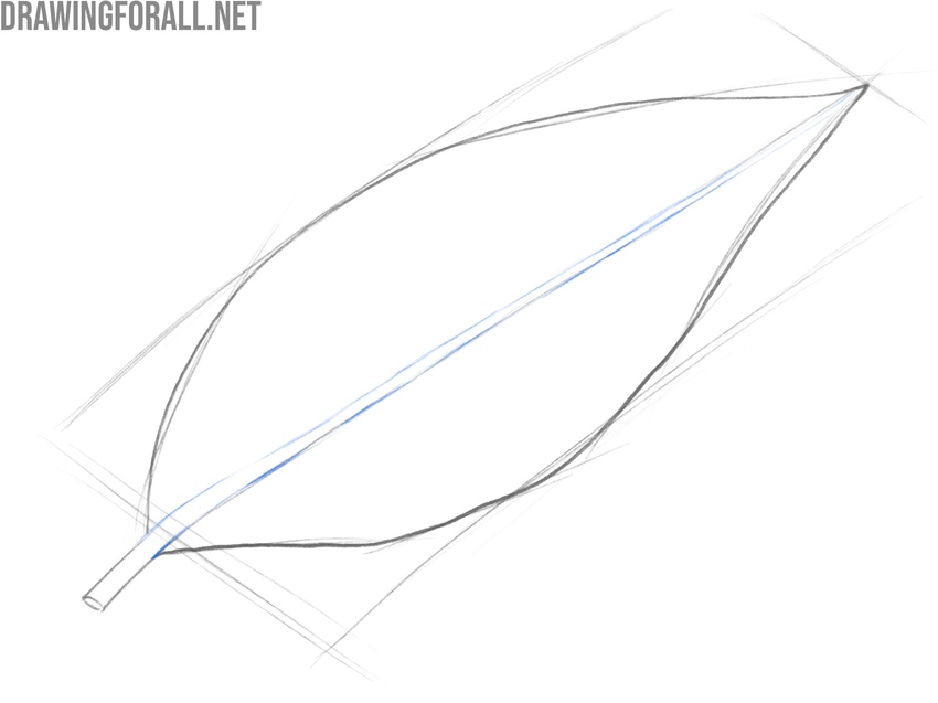 Thickening the central vein with varied line weight.
