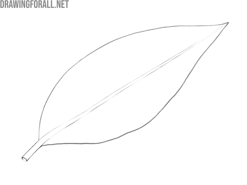Cleaning the leaf drawing by removing the construction lines.