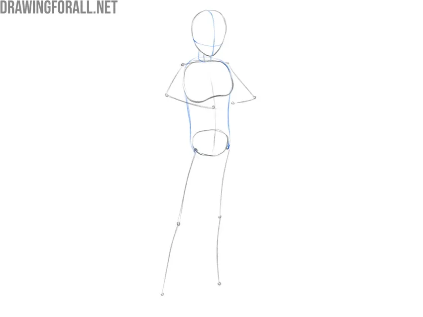 Sketch the torso and facial guidelines