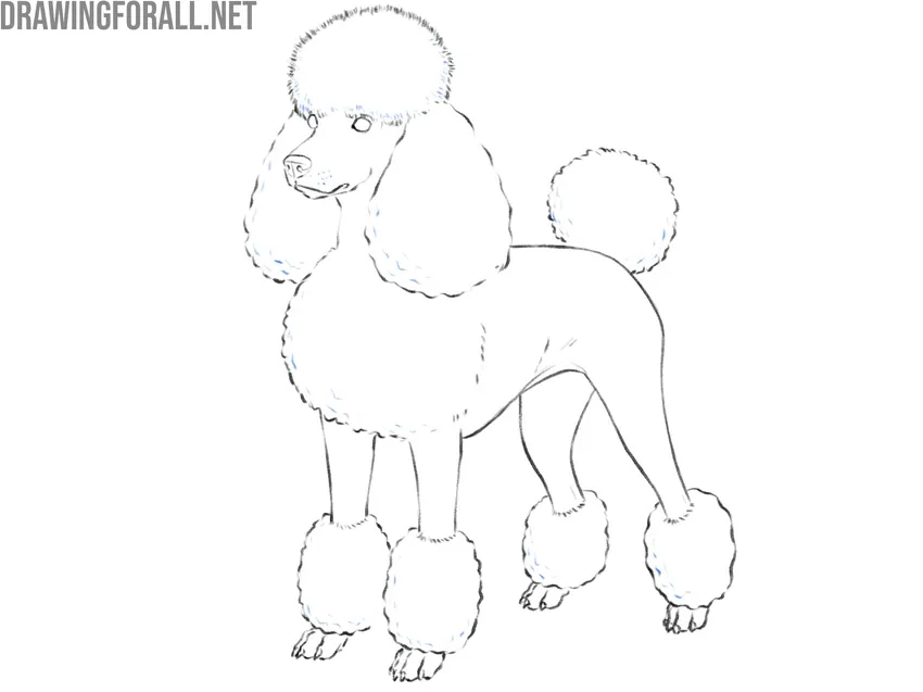 Complete the dog linework