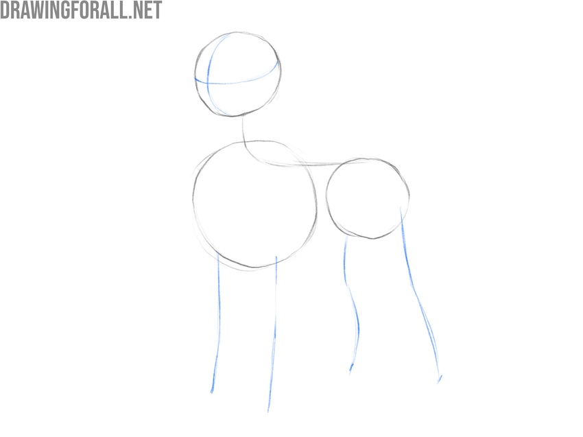 Sketch facial guidelines and limbs
