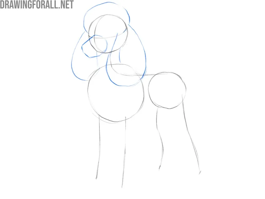 Draw the poodle hair and ears