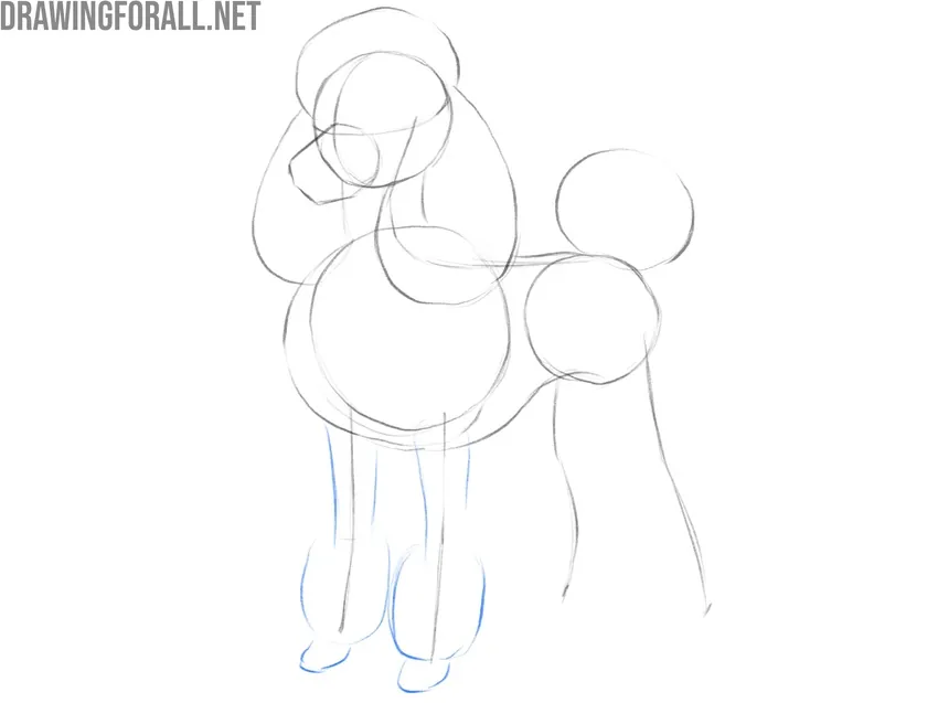 Draw the front legs of the poodle