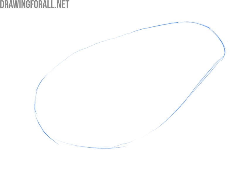 Sketch the amphibian’s basic body shape