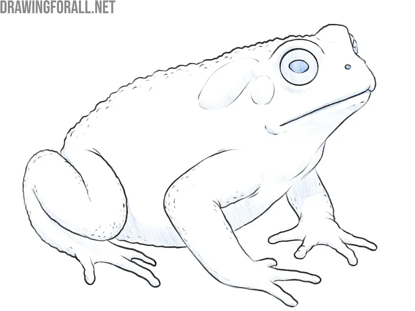 Add shading to the toad