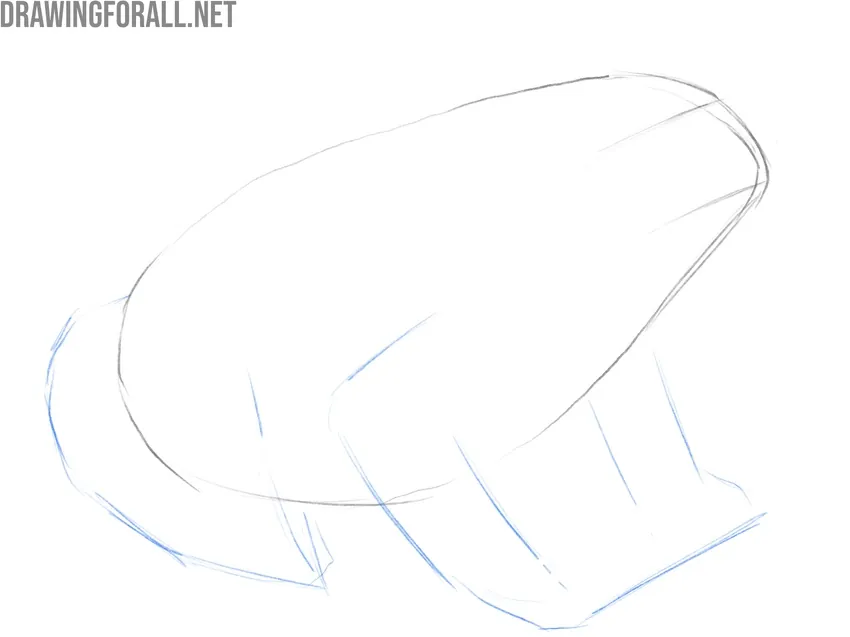 Sketch the amphibian’s legs