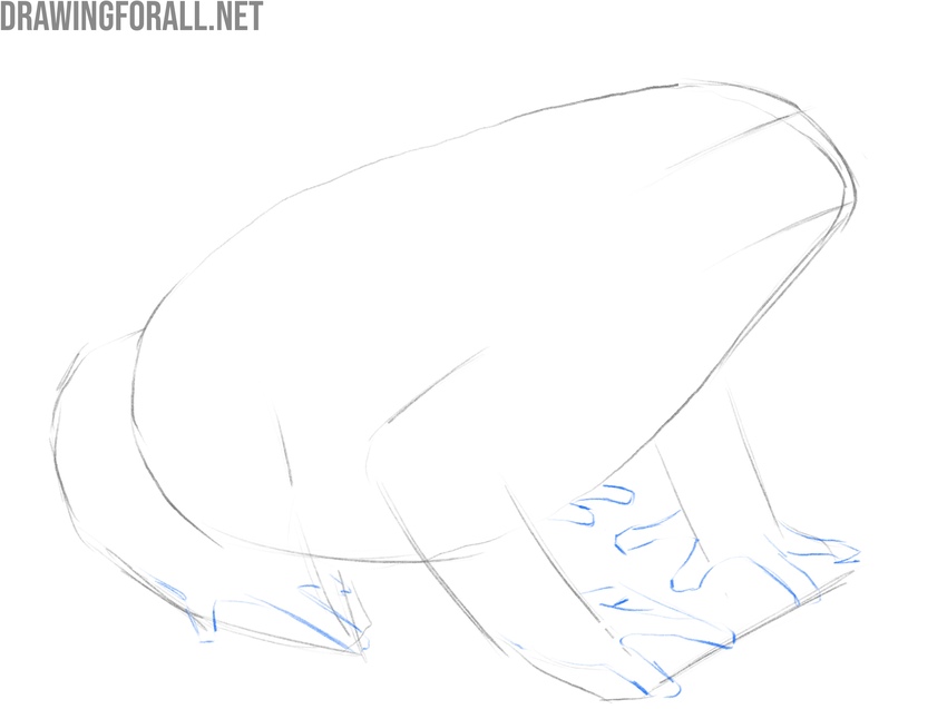 Draw the fingers and toes of the toad